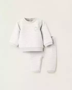 Спортивный костюм для мальчика с начесанными полосками Zippy, светло-зеленый