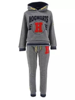 Спортивный костюм Kids Movie Heroes HARRY POTTER, серый