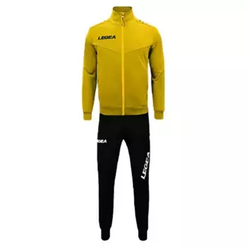 Спортивный костюм Legea Alabama Tokyo, синий/желтый