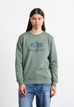 Спортивный свитер BASIC RAINBOW PRINT Alpha Industries, зеленый