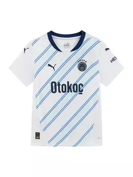 Спортивный топ PUMA Performance Shirt Fenerbahe SK 24/25, белый