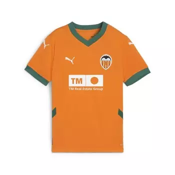 Спортивный топ PUMA Performance Shirt Valencia CF 24/25, оранжевый