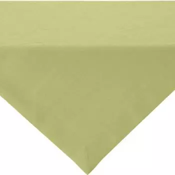 Средний потолок 61297 Sander, зеленый