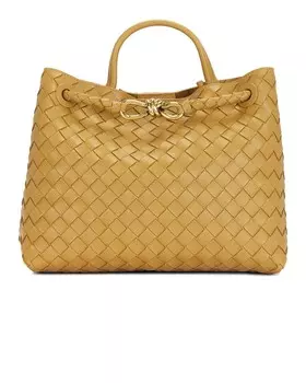 Средняя сумка Andiamo Bottega Veneta, цвет Dark Praline & Muse Brass