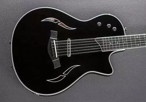 Стандарт T5Z — черный Taylor T5Z - Black