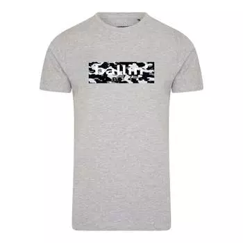 Стандартное восточное время футболка 2013 камуфляжная рубашка серая Ballin, серый