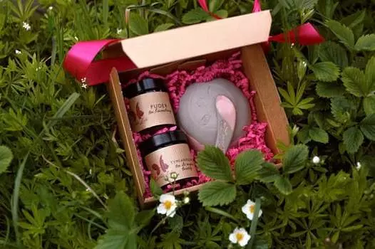 Стартовый набор уходовой косметики, 2 шт + Миска с ложечкой Dzikie ki