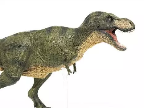 Статуэтка Rebor Grab N Go 04 SA Tyrannosaurus Rex Type C 1/35 Scale Replica Rebor