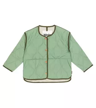 Стеганая куртка Hailee Molo, зеленый