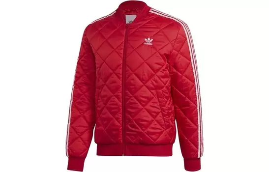 Стеганая куртка мужская красная Adidas Originals, красный