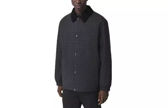 Стеганая куртка мужская серый Burberry