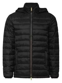 Стеганая куртка Polo Club, черный