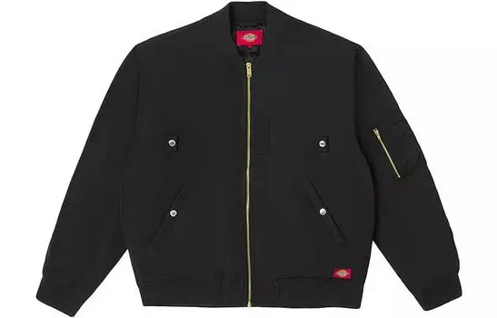Стеганая куртка унисекс Dickies, цвет Black/CC2