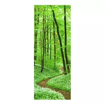 Стеклянная картина Bilderwelten Romantischer Waldweg