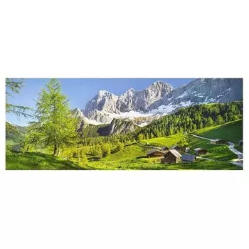 Стеклянная картина Bilderwelten Steiermark Almwiese