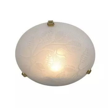 Стеклянный потолочный светильник Nve 1017923; Цвет: Белый/медный