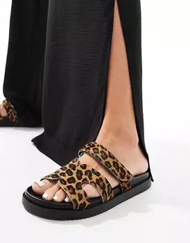 Steve Madden - Missile - мюли с кожаными ремешками с леопардовым принтом