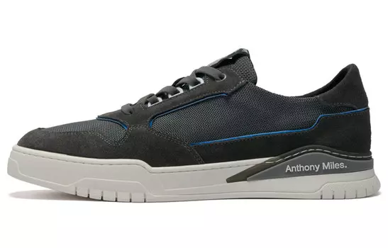 Стильные мужские кроссовки для скейтбординга с низким верхом синего цвета Anthony Miles