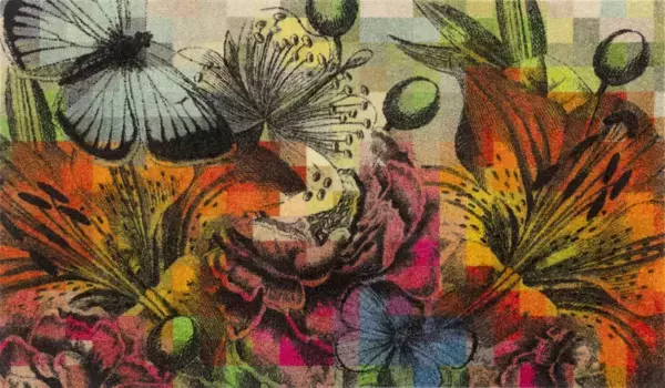 Стирка+сушка ковра Kleen-Tex "Волшебный сад", прямоугольный Wash+dry by Kleen-Tex 110х175 см, цвет bunt