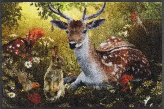 Стирка+сушка коврик Kleen-Tex "Лесной шепот", прямоугольный Wash+dry by Kleen-Tex 50х75 см, цвет bunt