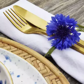 Столовые приборы Werner Voss, золотой