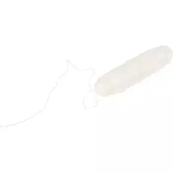 Стоматологическая нить черная 30 метров, Naturbrush