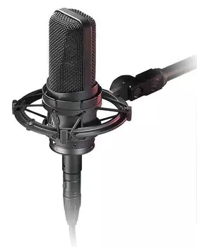 Студийный конденсаторный микрофон Audio-Technica AT4050 Large Diaphragm Multipattern Condenser Microphone