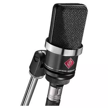 Студийный микрофон Neumann TLM 102 mt Large Diaphragm Cardioid Condenser Microphone