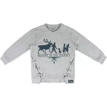 Судадэра Хлопок Замороженный 2 - Gris Cerda