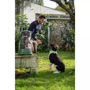 Сухой корм для собак в гранулах - Adult Essentiel 12 кг SOLOGNAC