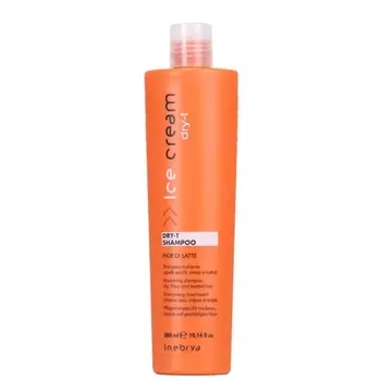 Сухой-Т Шампунь 300мл, Inebrya