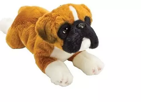 Суки собак, талисман боксера Suki