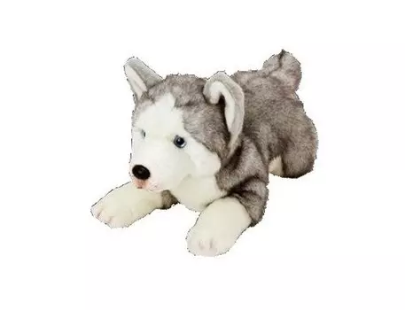 Суки собак, талисман хаски Suki