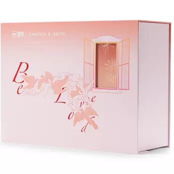 Сумка CHARLES&KEITH, Mocha Dark Coffee