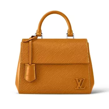 Сумка Louis Vuitton Cluny Mini, терракотовый