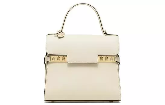 Сумка Tempte Delvaux