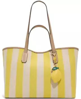 Сумка-тоут Summertote Mini ALDO, мультиколор
