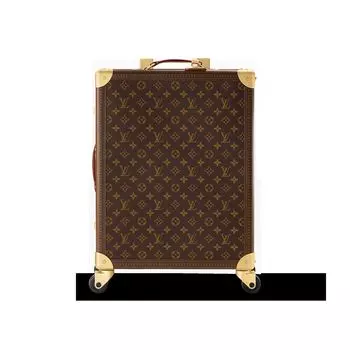 Сумка женская Louis Vuitton, коричневый