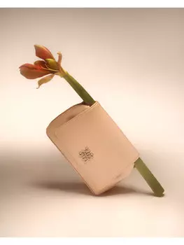 Сумочка LDA5475 Nine West, розовый