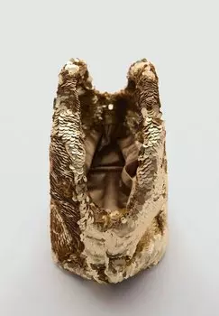 Сумочка Palmira Mango, золото