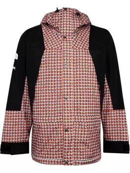 Supreme куртка Mountain Light из коллаборации с The North Face, красный