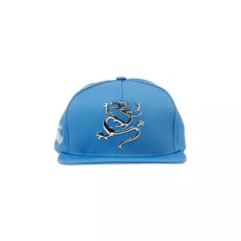 Supreme Mobb Deep Dragon 5-панельный, светло-синий