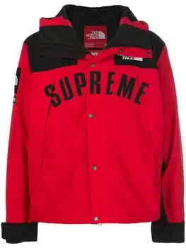 Supreme парка Arc Logo Mountain из коллаборации с The North Face, красный