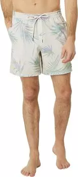 Surfsilk Mix 17" Волейбол Quiksilver, цвет Birch