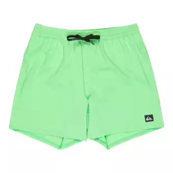 Surfsilk Solid 16" Quiksilver Мужские плавательные шорты, зеленый