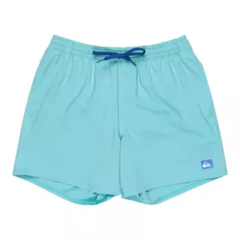 Surfsilk Solid 16" Quiksilver Мужские плавательные шорты, голубой