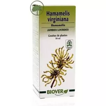 Сущность, Biover