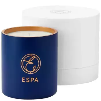 Свеча Winter Spice Standard 200г Espa