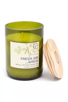 Свечи ароматические соевые Fresh Air & Birch 226 г Paddywax, зеленый