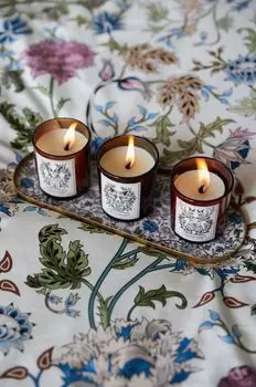 Свечи с ароматом сои, 3 шт. Medicine, мультиколор